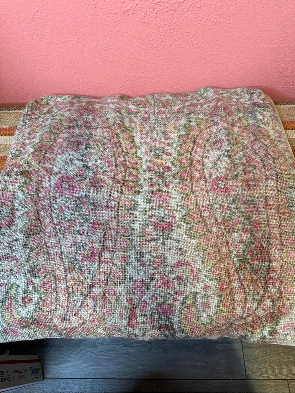 Pottery Barn Paisley Pillow Cover 22”x22”